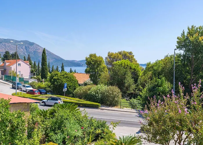 Djurkovic Апартаменты Млини